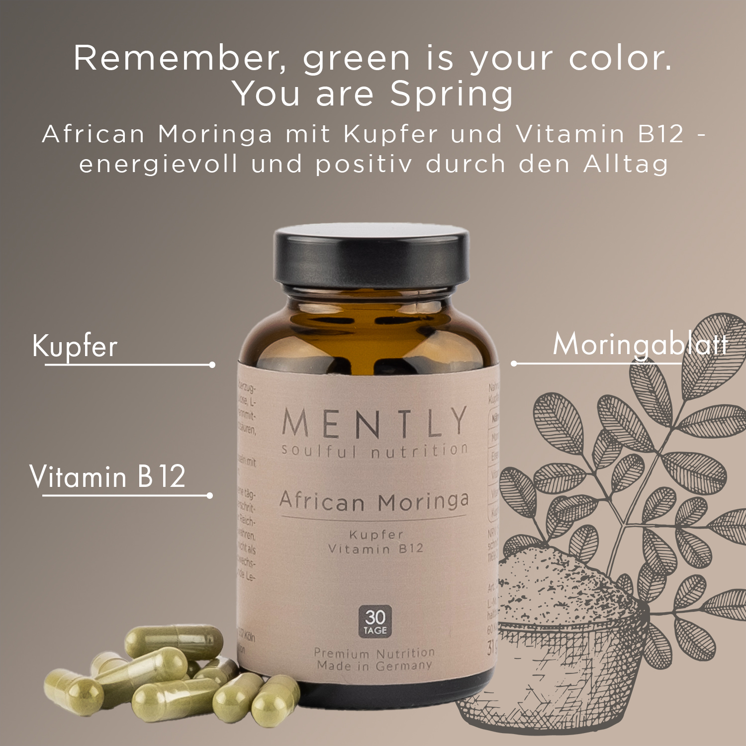 Mently Nahrungsergänzungsmittel African Moringa